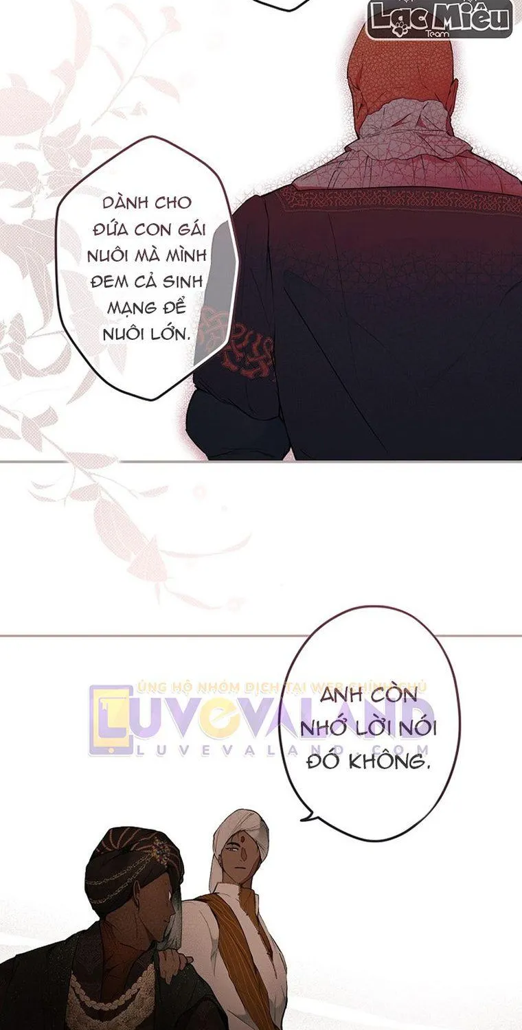 Quý Cô Bí Ẩn - Chap 65 - Trang 43