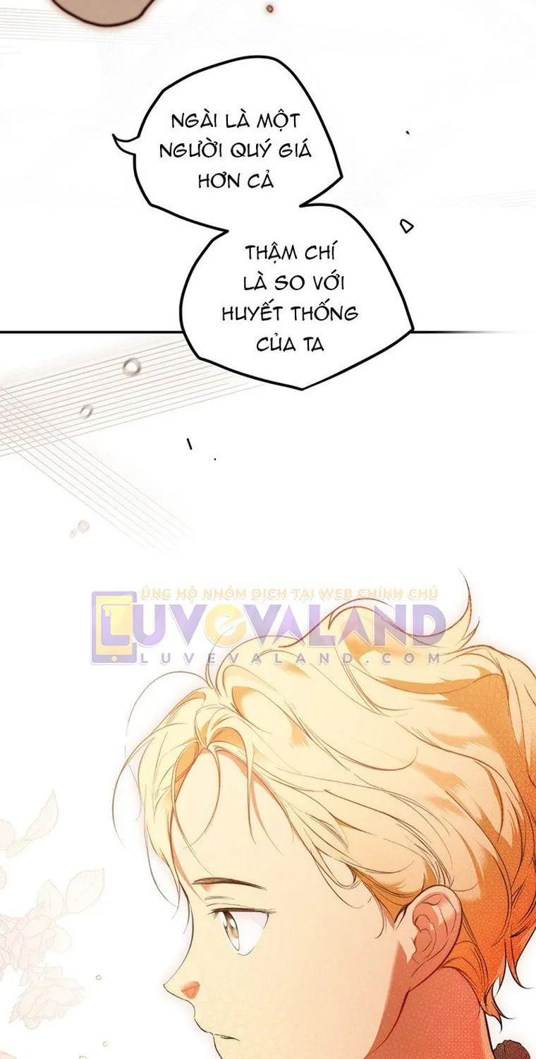 Quý Cô Bí Ẩn - Chap 66 - Trang 66