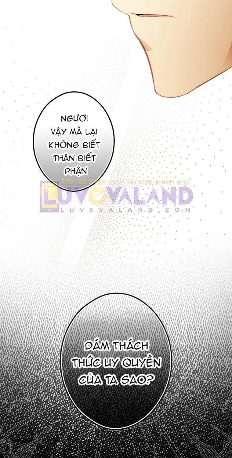 Quý Cô Bí Ẩn - Chap 66 - Trang 83