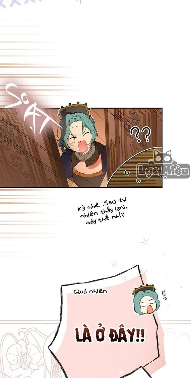 Quý Cô Bí Ẩn - Chap 67 - Trang 20