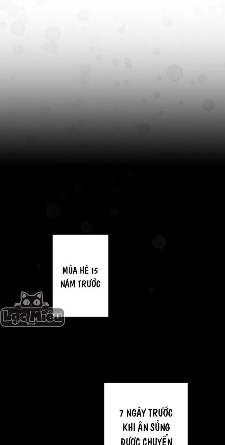 Quý Cô Bí Ẩn - Chap 69 - Trang 2