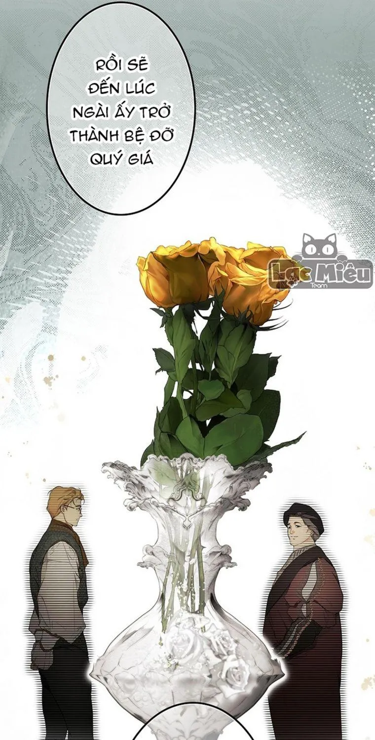 Quý Cô Bí Ẩn - Chap 69 - Trang 26