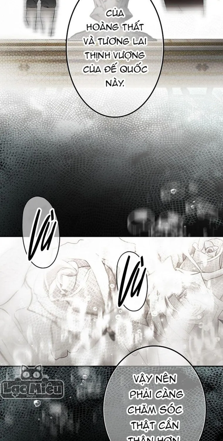Quý Cô Bí Ẩn - Chap 69 - Trang 27