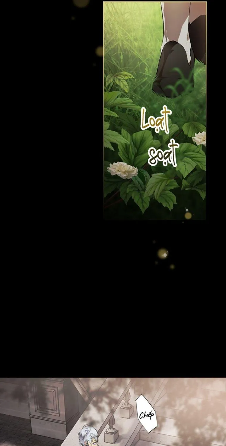 Quý Cô Bí Ẩn - Chap 69 - Trang 44