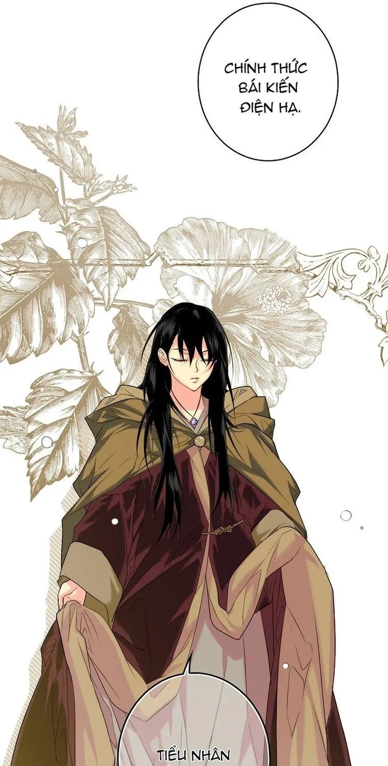 Quý Cô Bí Ẩn - Chap 7 - Trang 11