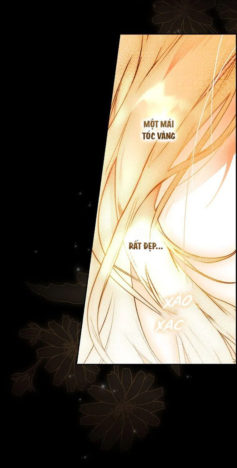Quý Cô Bí Ẩn - Chap 70 - Trang 23