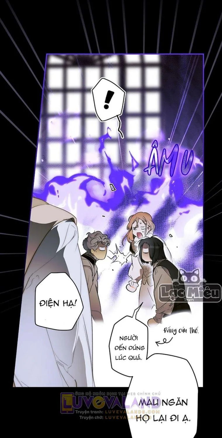 Quý Cô Bí Ẩn - Chap 71 - Trang 33