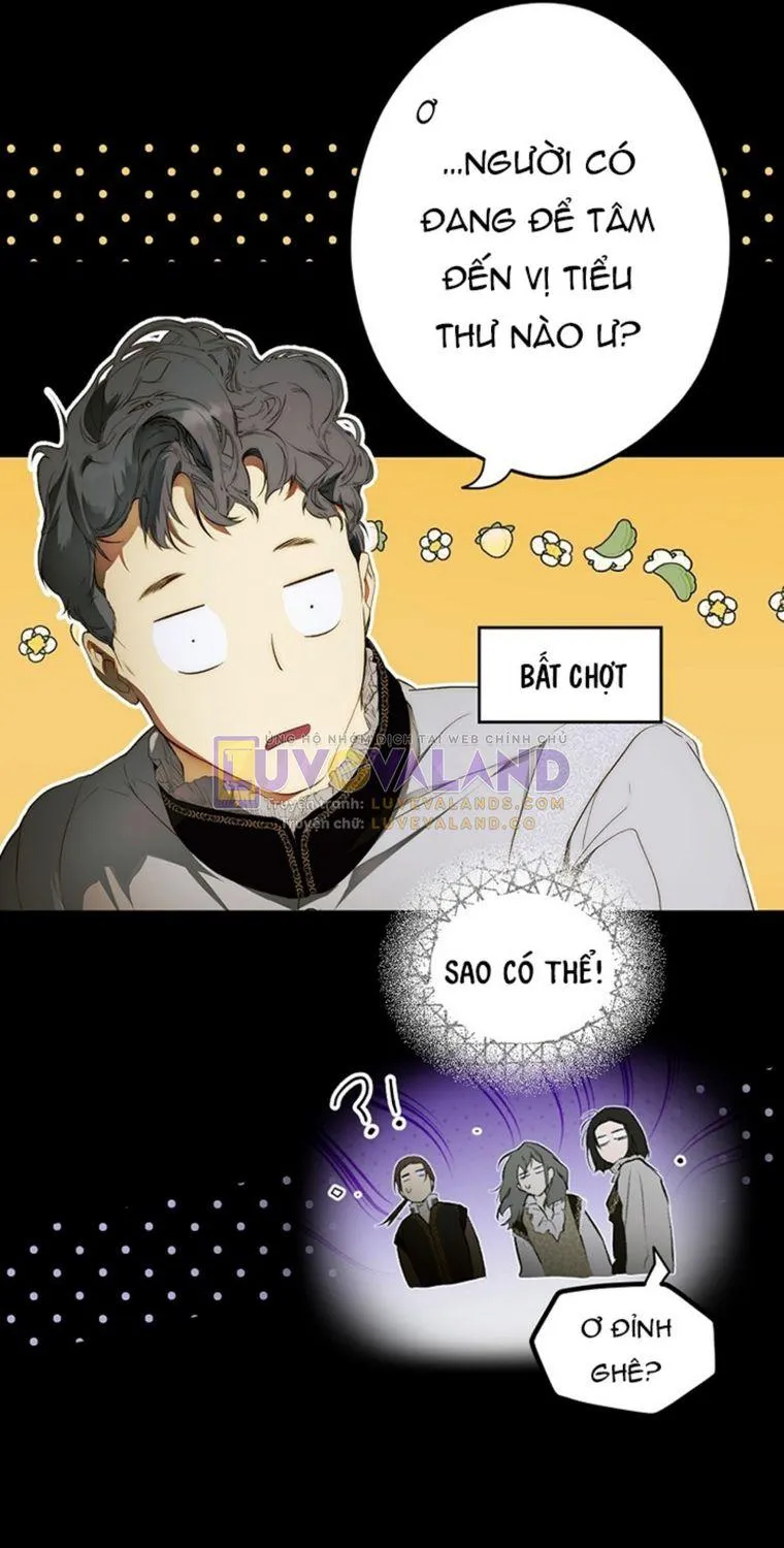 Quý Cô Bí Ẩn - Chap 71 - Trang 51