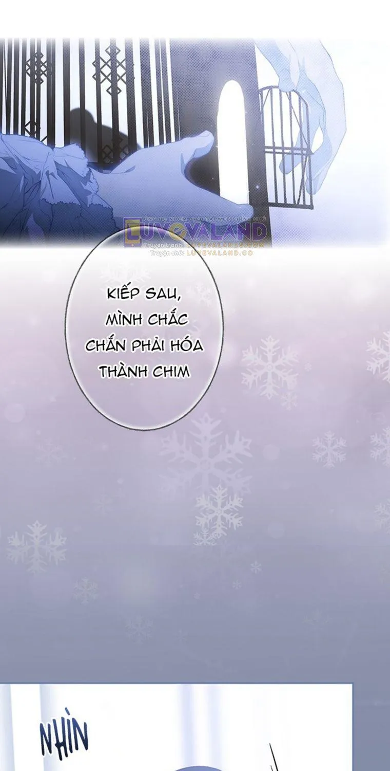 Quý Cô Bí Ẩn - Chap 72 - Trang 56