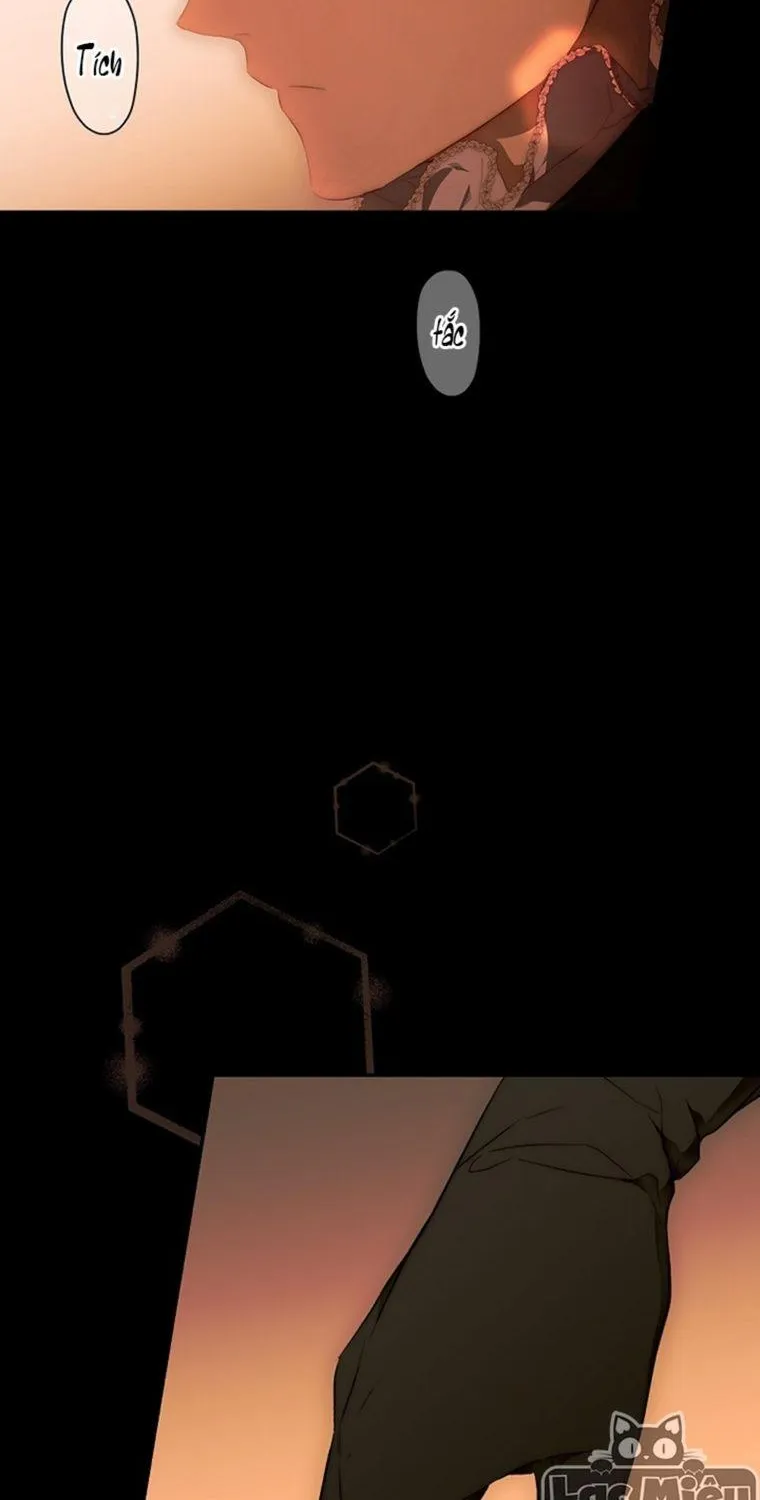 Quý Cô Bí Ẩn - Chap 72 - Trang 66