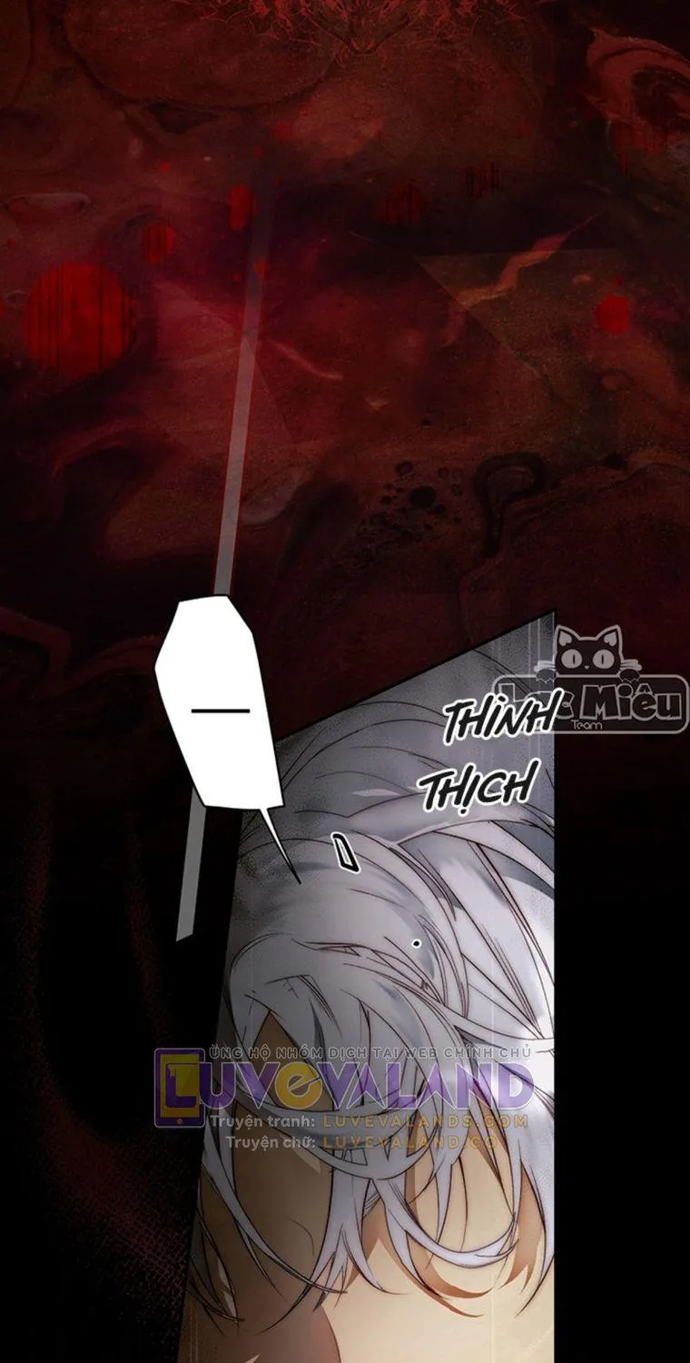 Quý Cô Bí Ẩn - Chap 73 - Trang 17