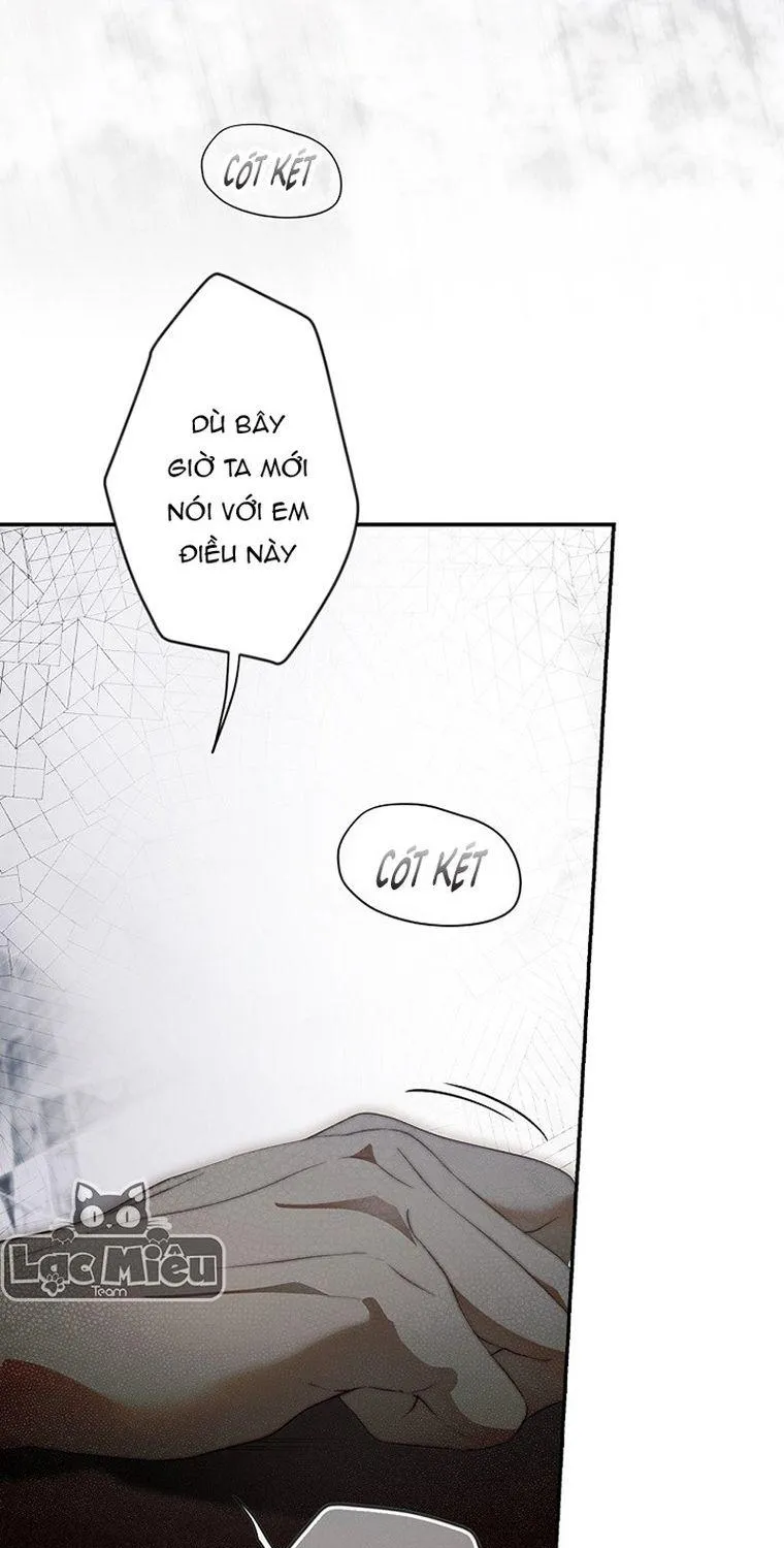 Quý Cô Bí Ẩn - Chap 74 - Trang 24