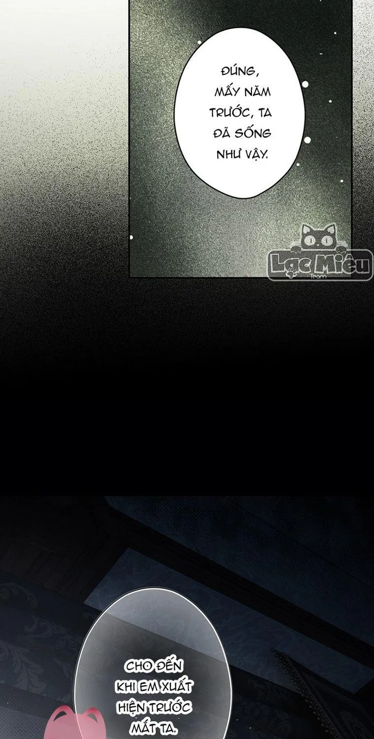 Quý Cô Bí Ẩn - Chap 74 - Trang 41