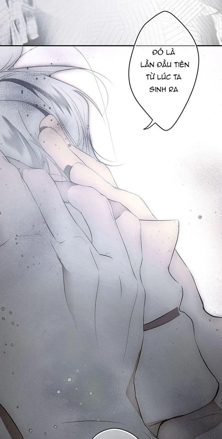Quý Cô Bí Ẩn - Chap 74 - Trang 47