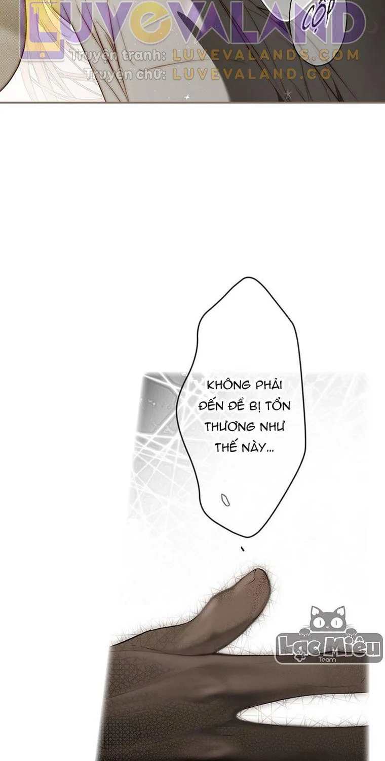 Quý Cô Bí Ẩn - Chap 77 - Trang 28
