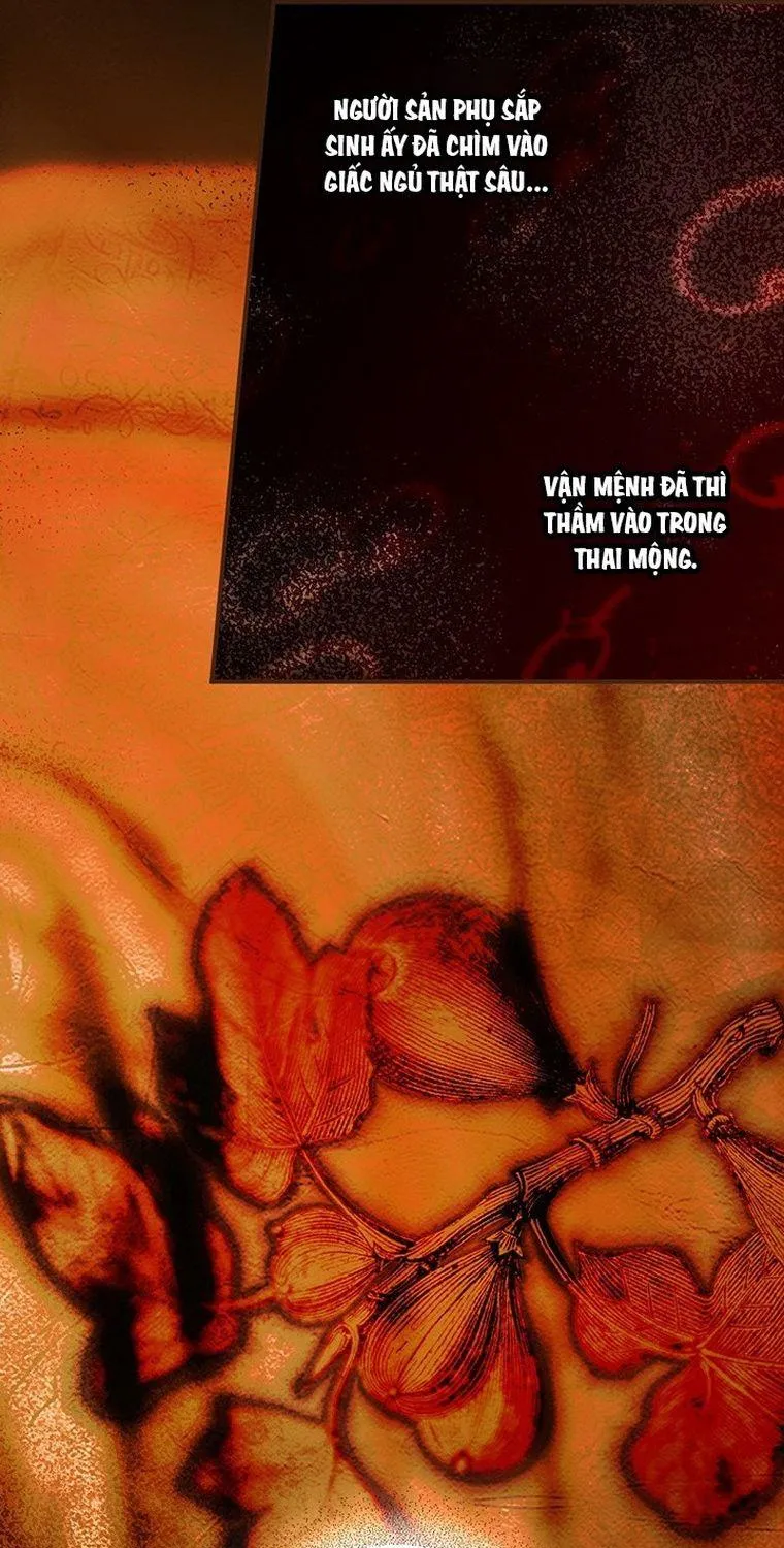 Quý Cô Bí Ẩn - Chap 78 - Trang 25