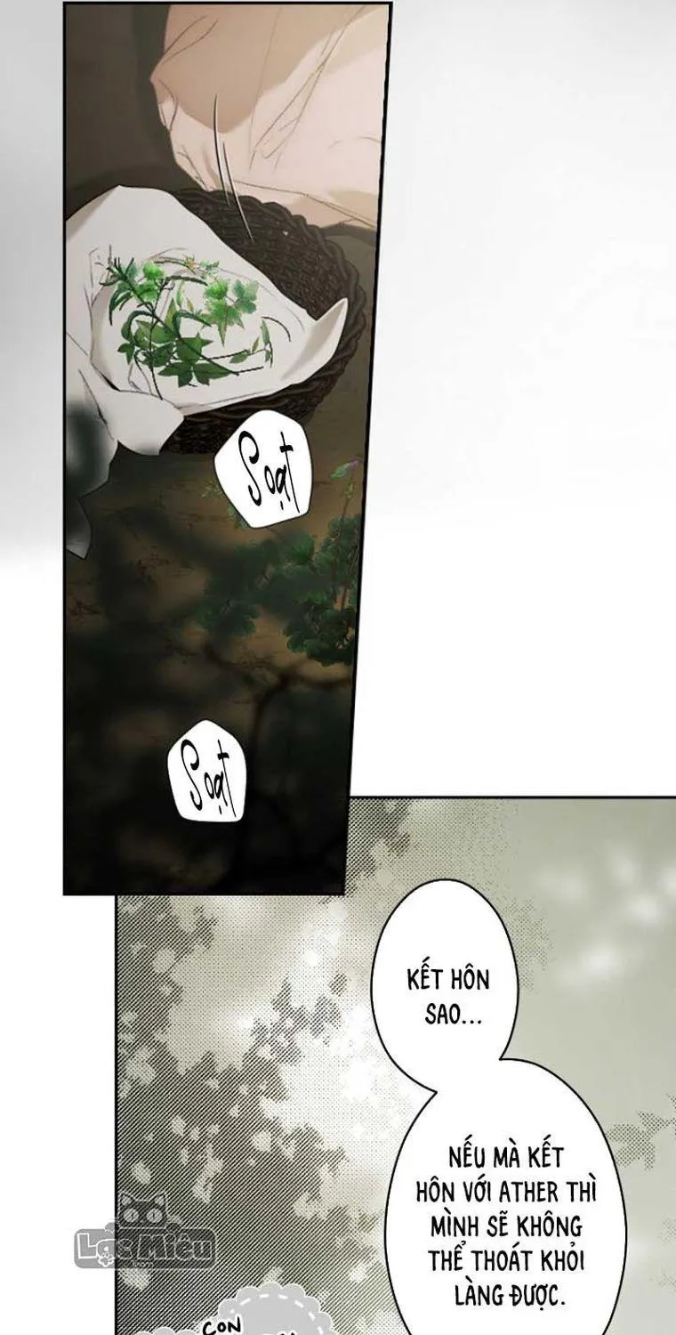 Quý Cô Bí Ẩn - Chap 78 - Trang 67