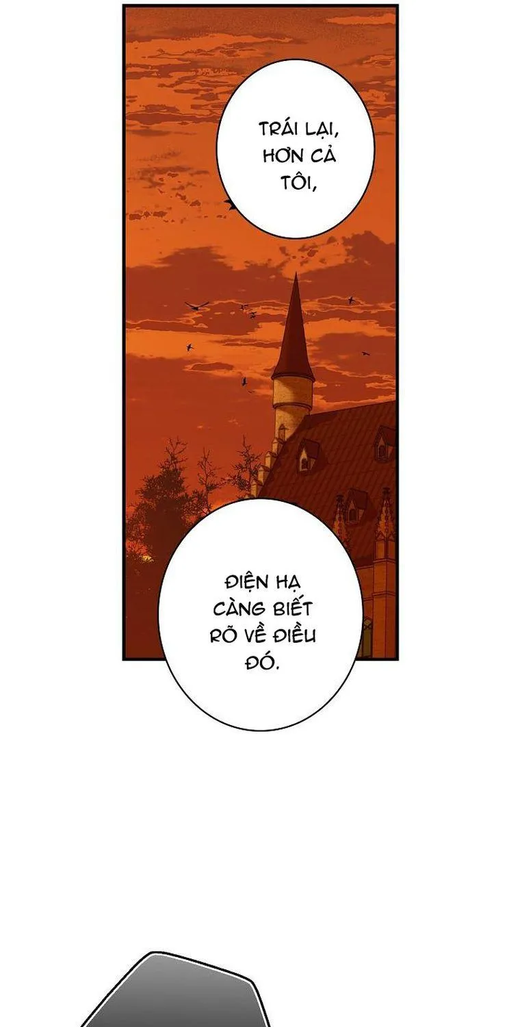 Quý Cô Bí Ẩn - Chap 8 - Trang 29