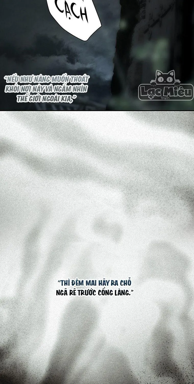 Quý Cô Bí Ẩn - Chap 80 - Trang 83