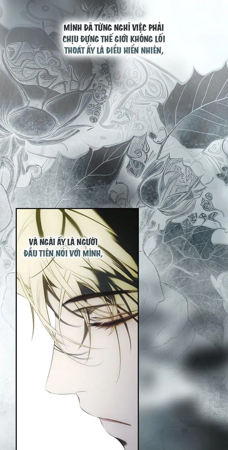 Quý Cô Bí Ẩn - Chap 82 - Trang 68