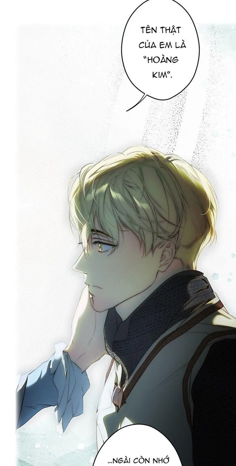 Quý Cô Bí Ẩn - Chap 82 - Trang 71