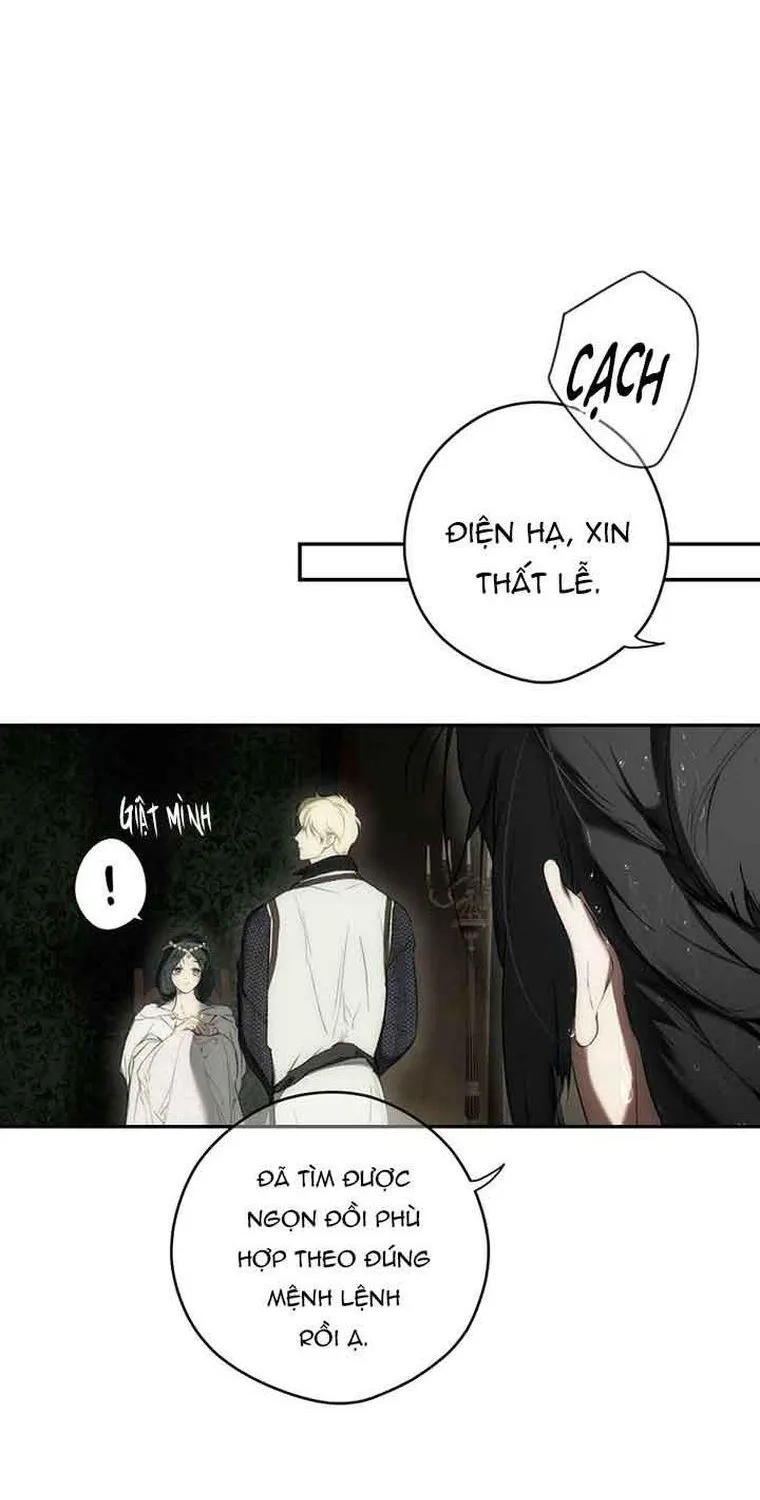 Quý Cô Bí Ẩn - Chap 84 - Trang 50
