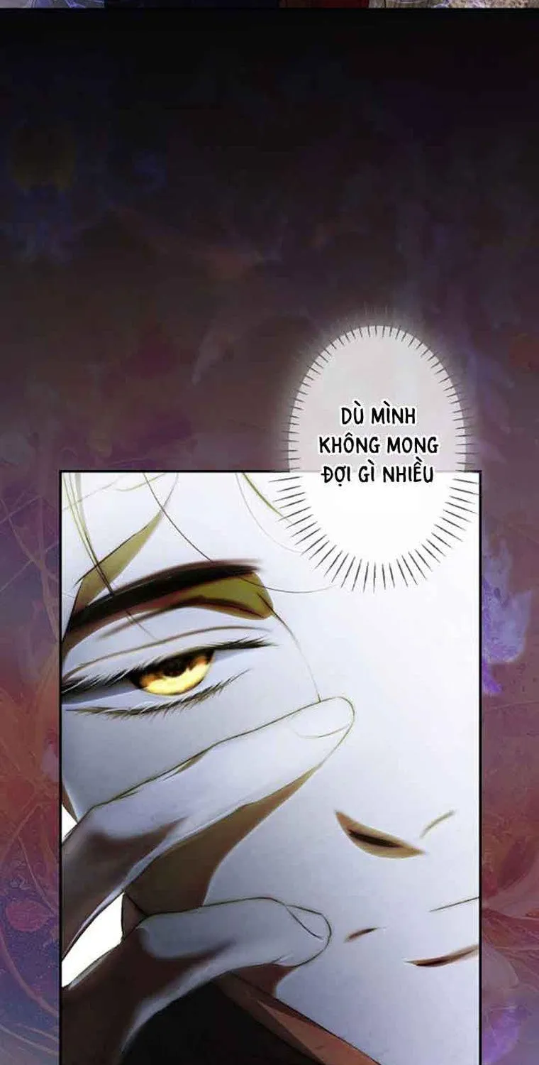 Quý Cô Bí Ẩn - Chap 86 - Trang 49