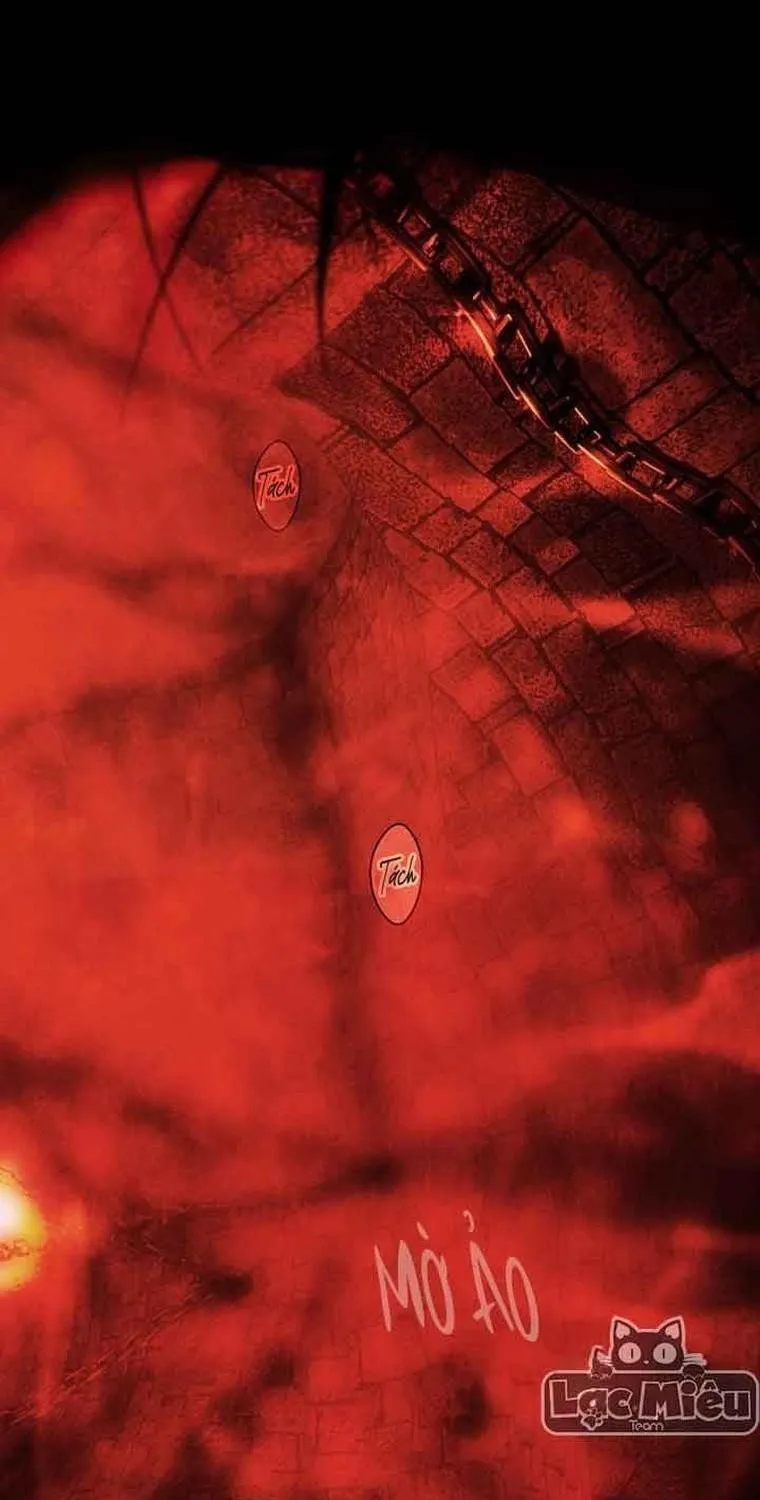 Quý Cô Bí Ẩn - Chap 88 - Trang 2