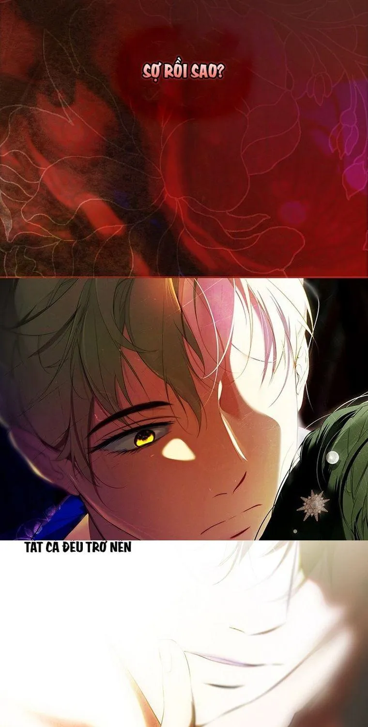 Quý Cô Bí Ẩn - Chap 88 - Trang 34