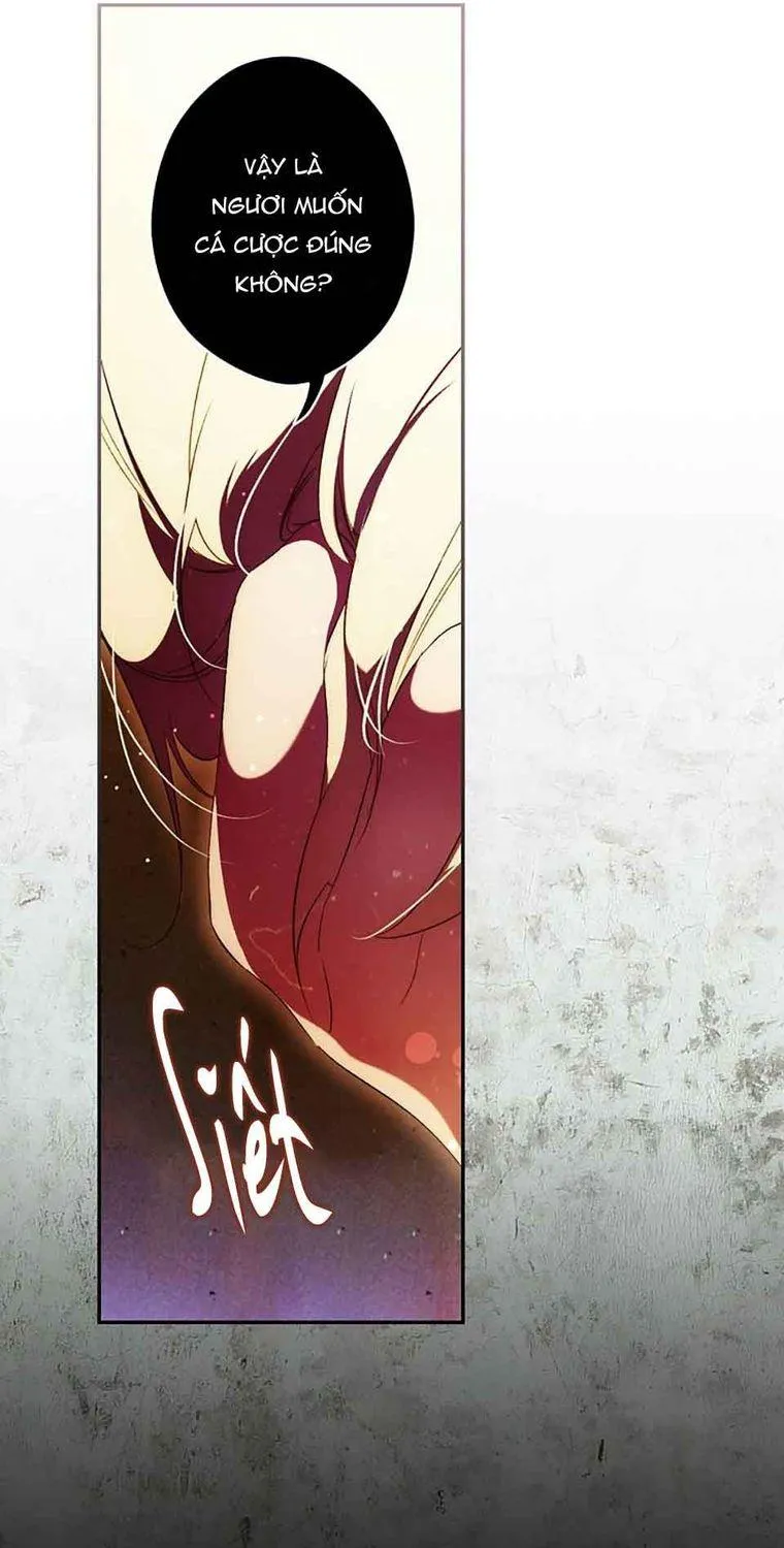 Quý Cô Bí Ẩn - Chap 92 - Trang 51