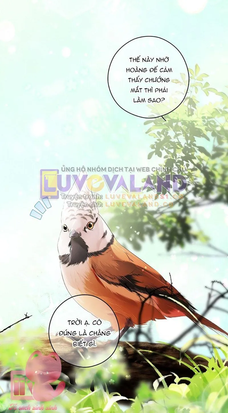 Quý Cô Bí Ẩn - Chap 94 - Trang 5