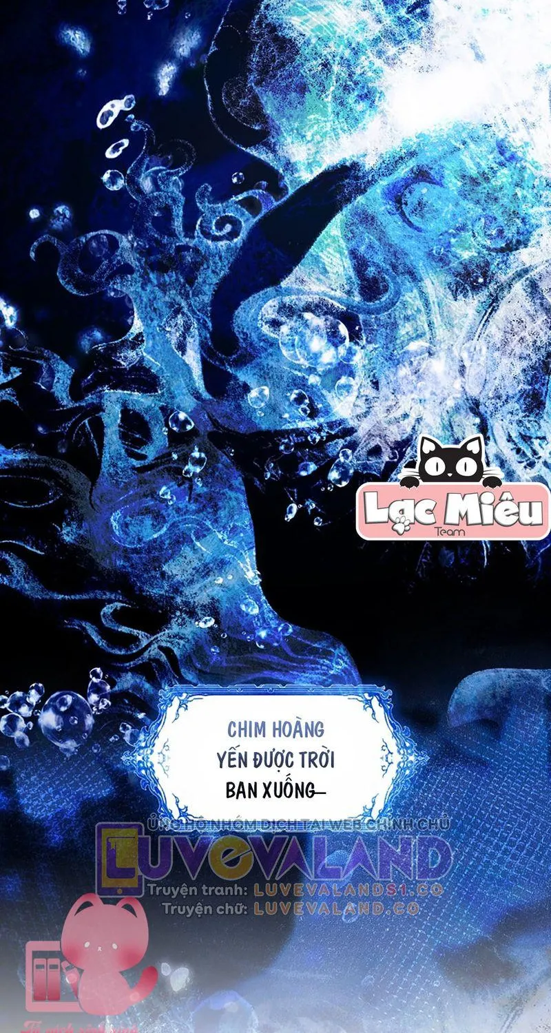 Quý Cô Bí Ẩn - Chap 96 - Trang 65
