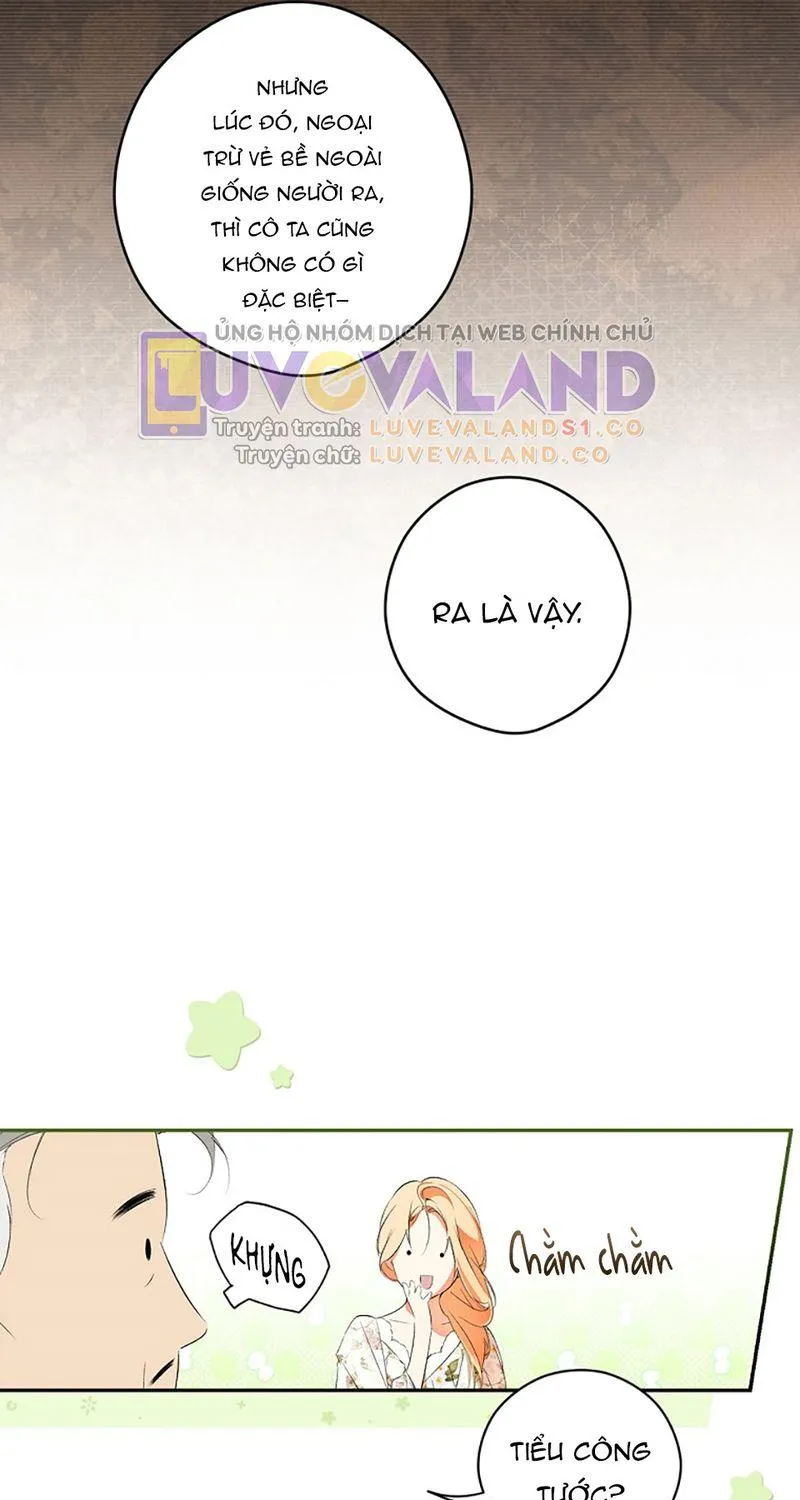 Quý Cô Bí Ẩn - Chap 97 - Trang 21