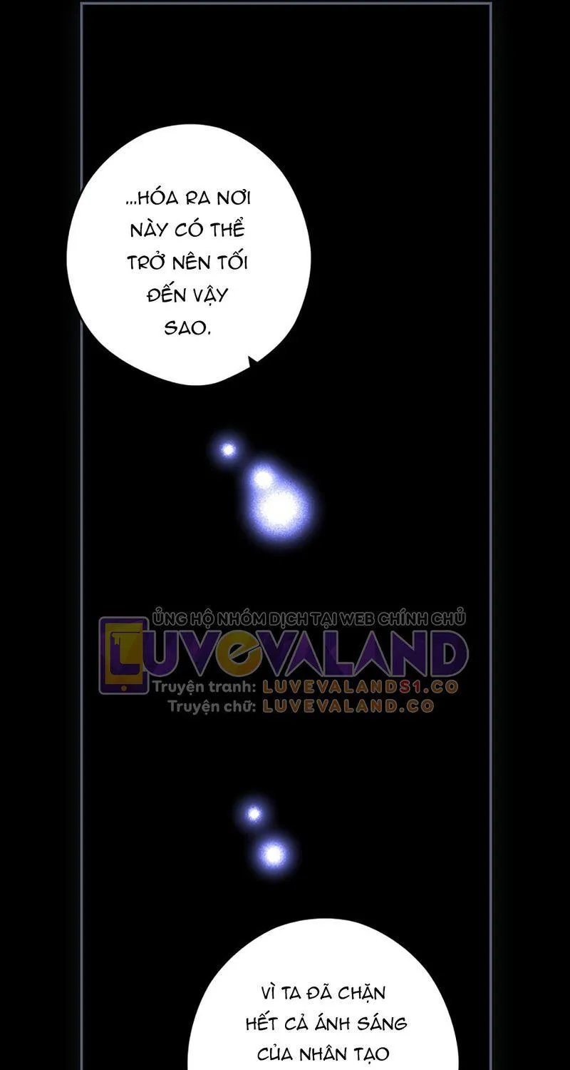 Quý Cô Bí Ẩn - Chap 99 - Trang 14