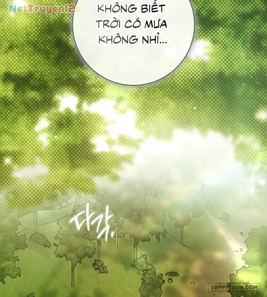 Trang 99
