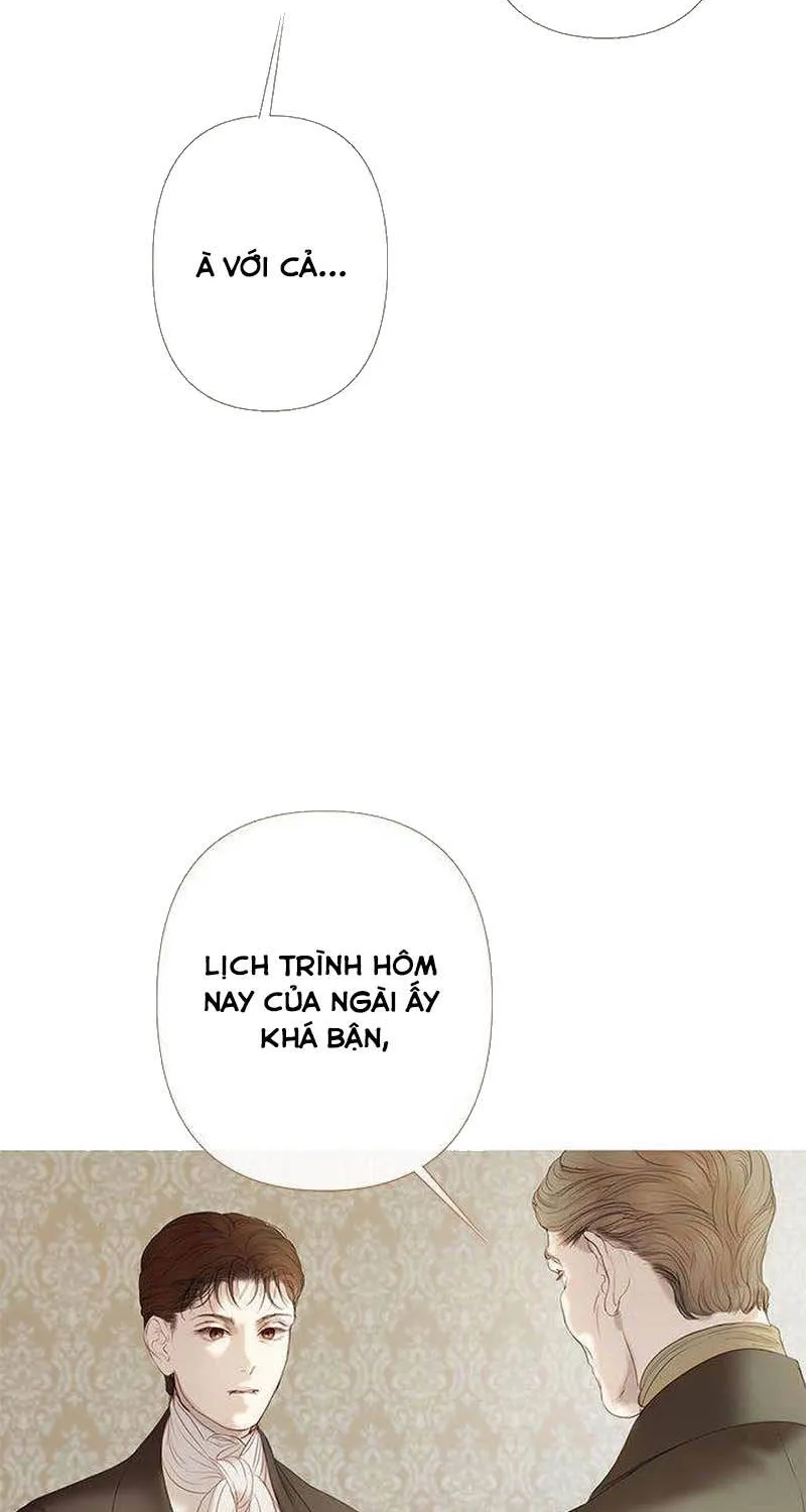 Chapter 19 - Trang 85