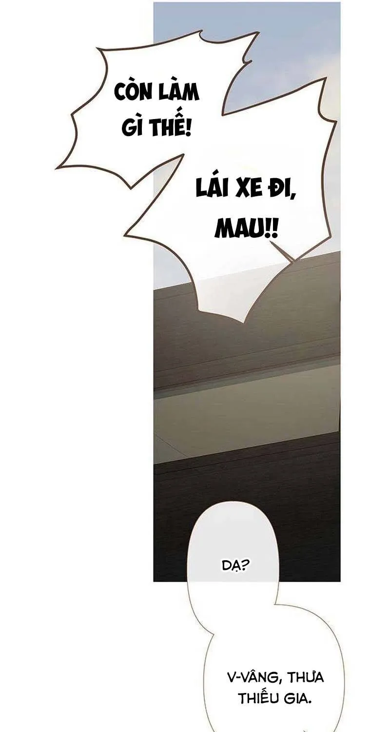 Chapter 23 - Trang 97