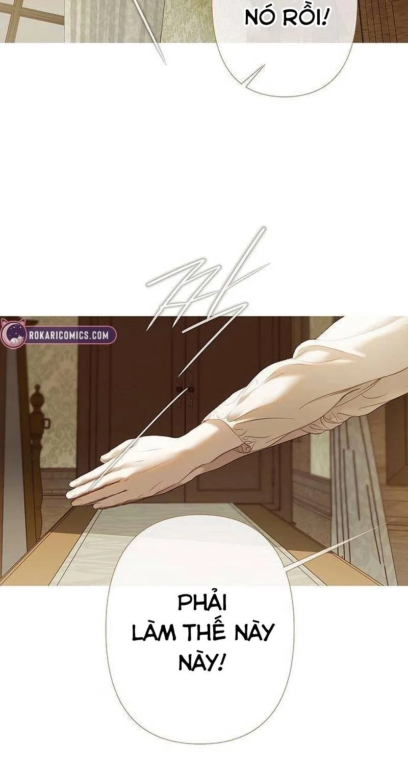 Chapter 24 - Trang 60