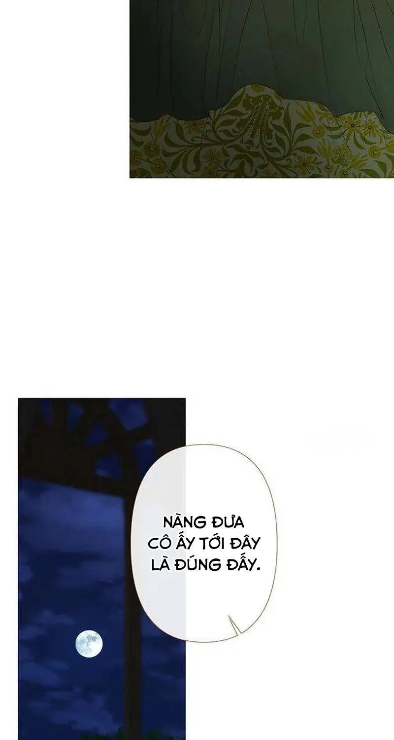 Chapter 26 - Trang 26