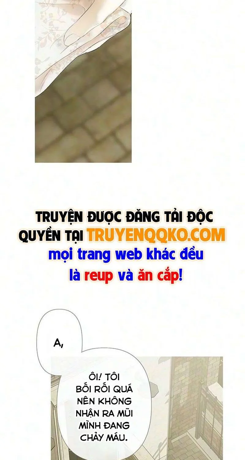Chapter 27 - Trang 5