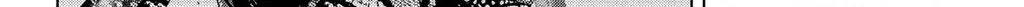 Chapter 246 - Trang 23