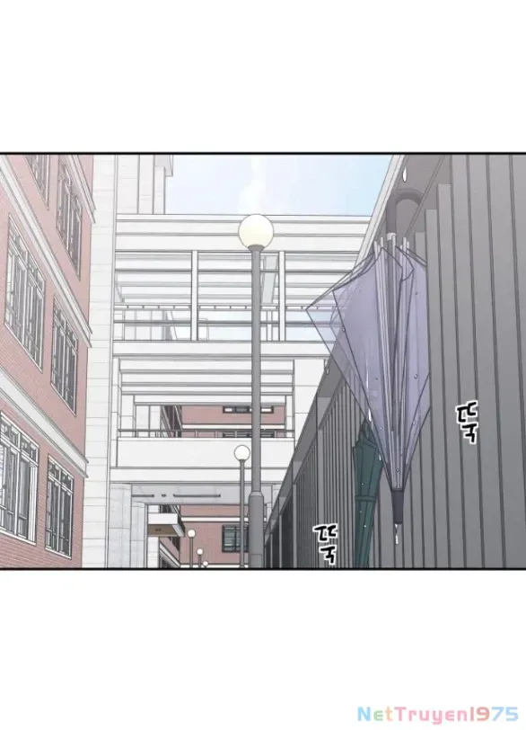 Chapter 13.1 - Trang 12