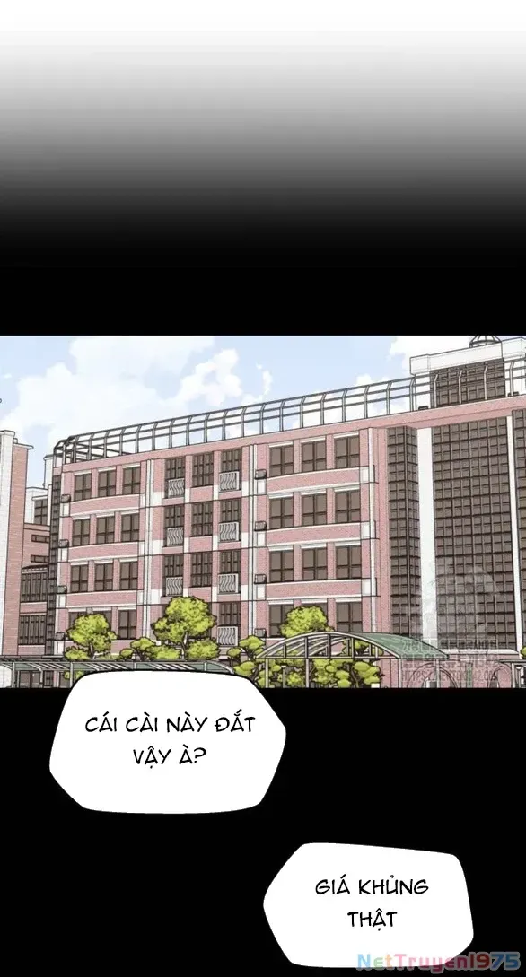 Chapter 20.2 - Trang 23