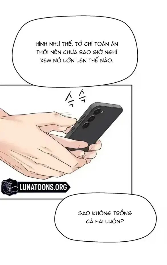 Chapter 91 - Trang 36