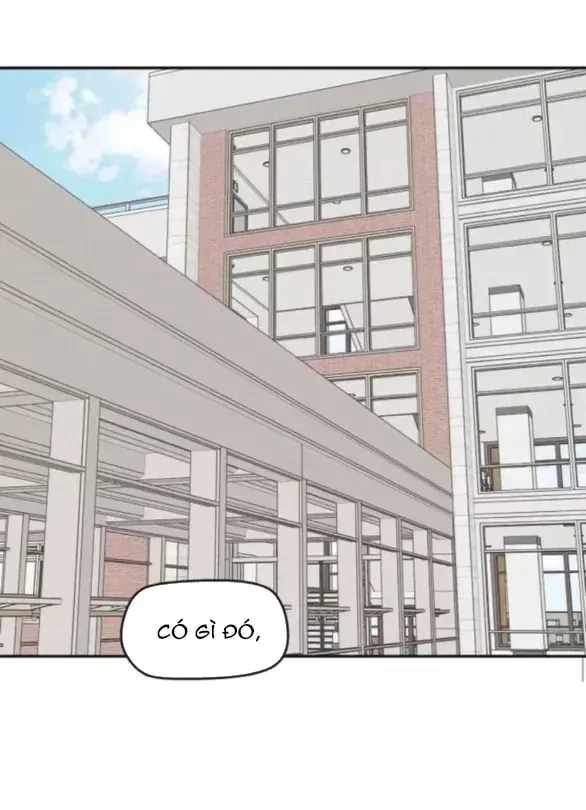 Chapter 97 - Trang 66
