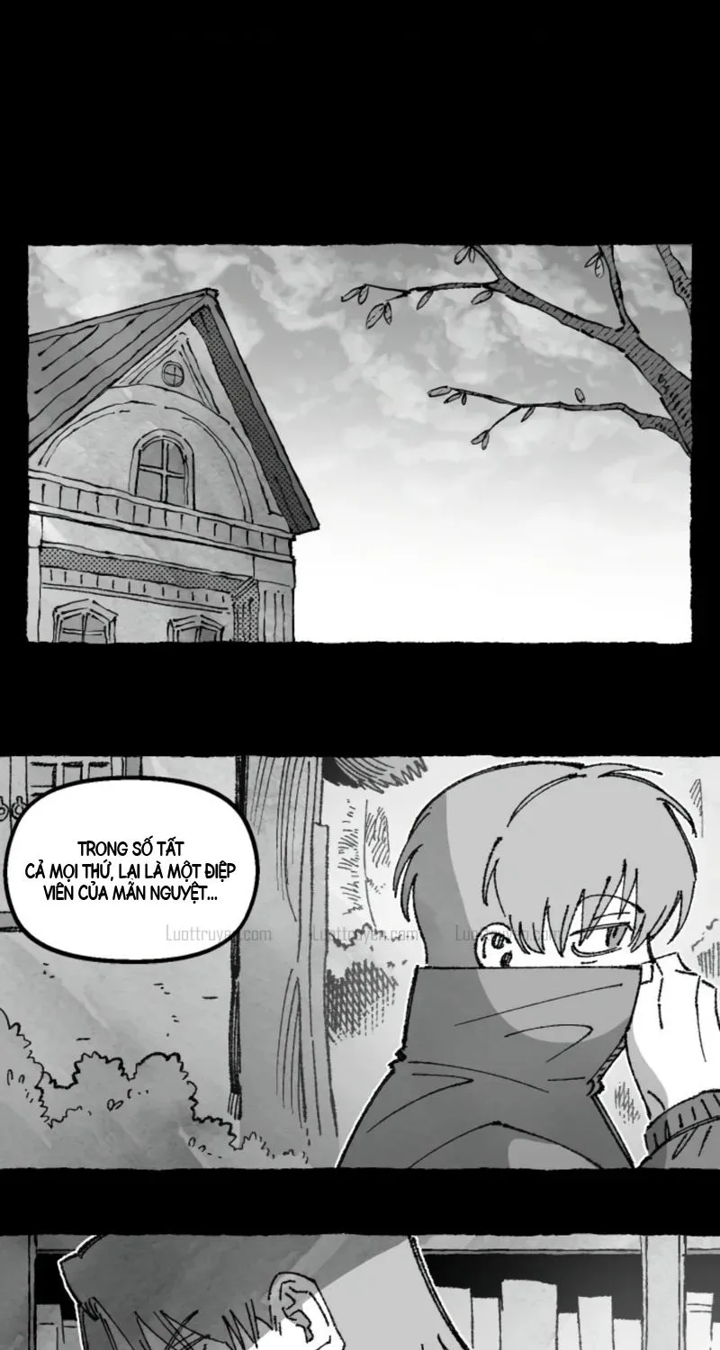 Chapter 217 - Trang 56