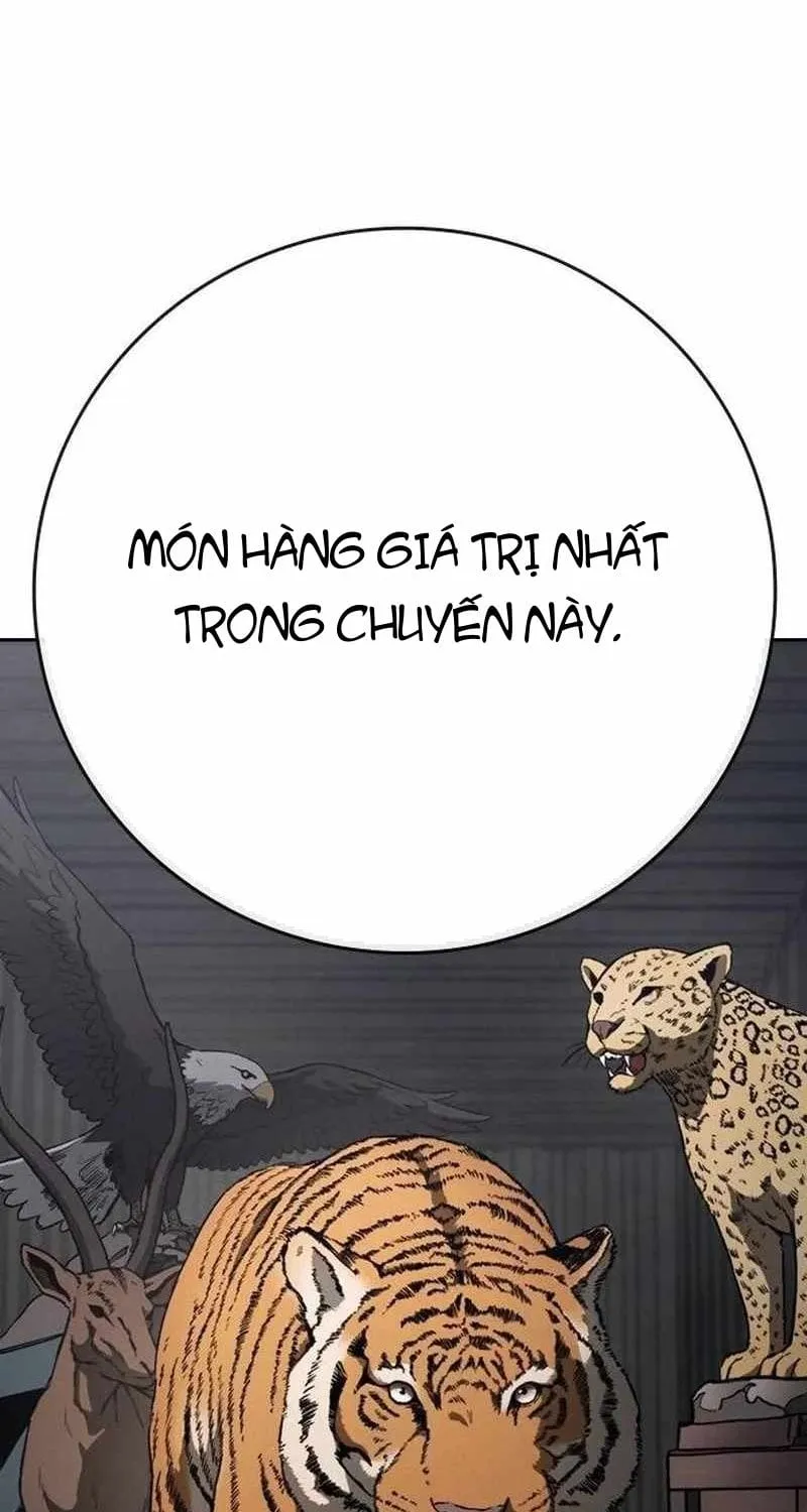 Sát Thủ Nhập Học - Chap 20 - Trang 5