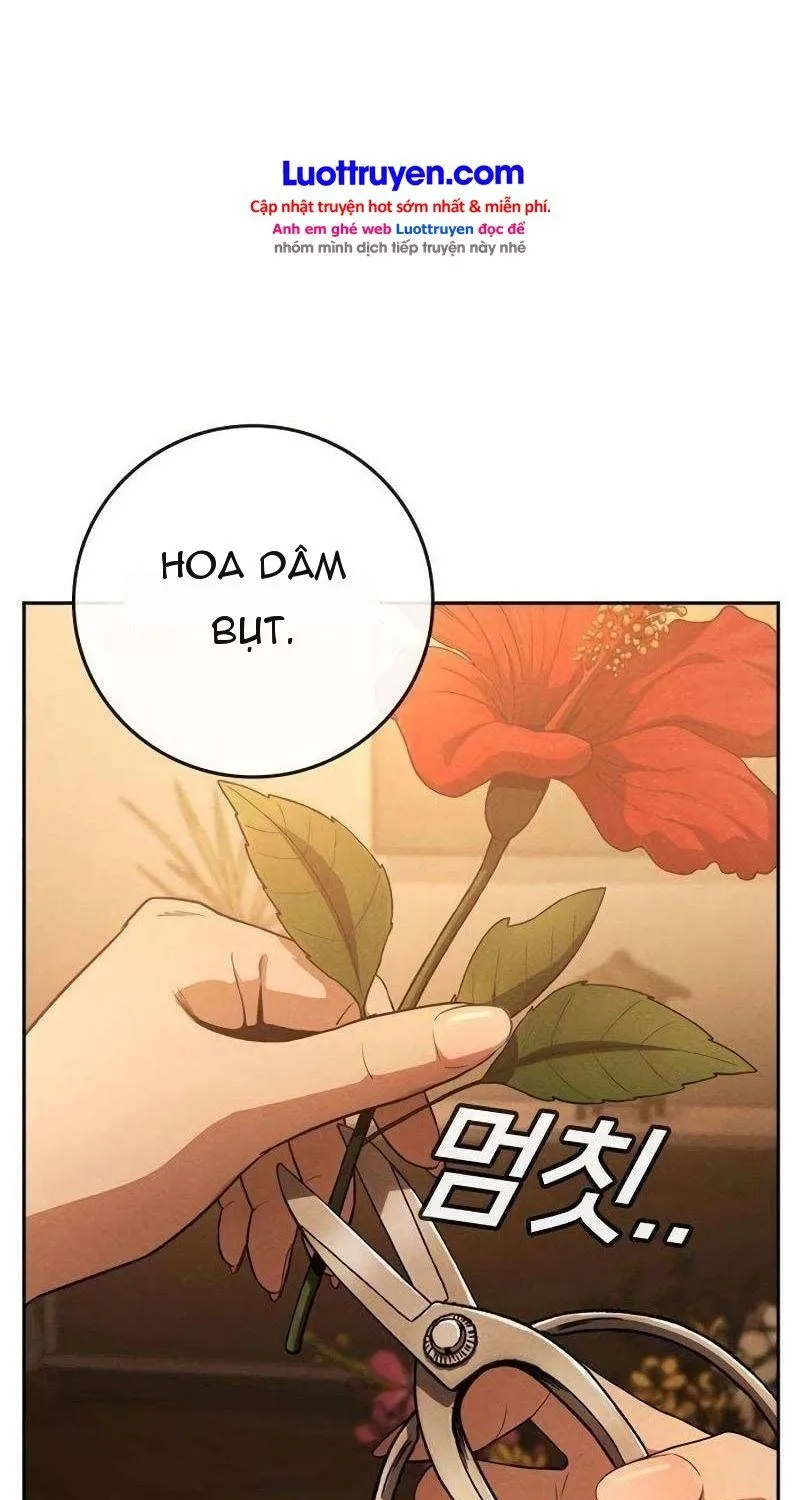 Sát Thủ Nhập Học - Chap 6 - Trang 6