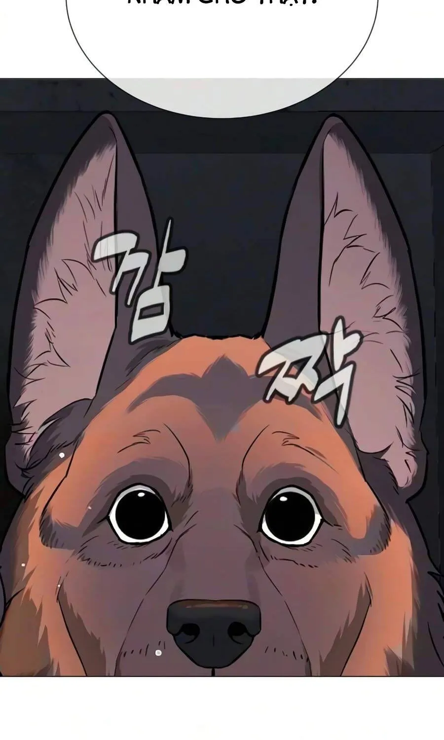 Chapter 137 - Trang 13