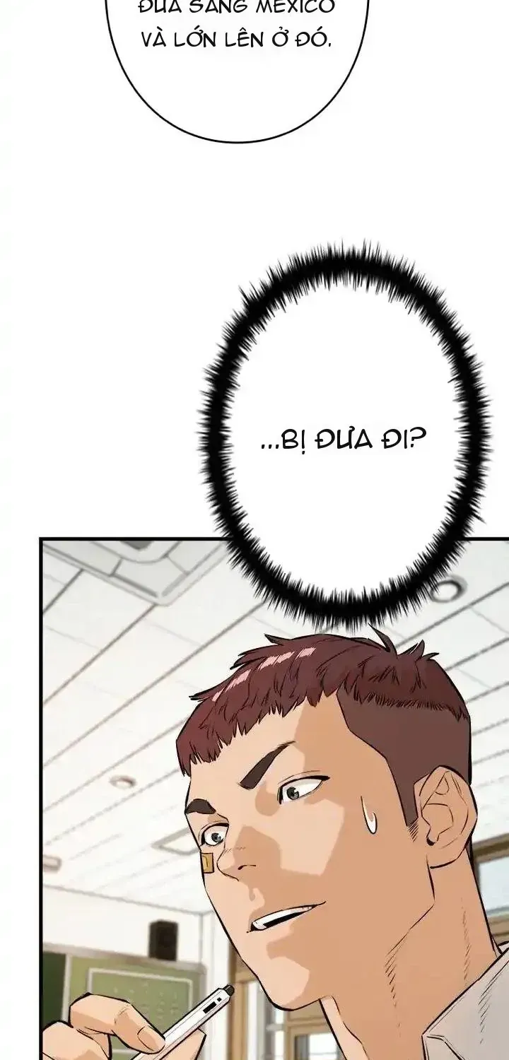 Chapter 11 - Trang 23